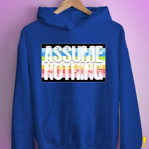 Assume Nothing Queer Pride Flag Hoodie - Royal Blue
